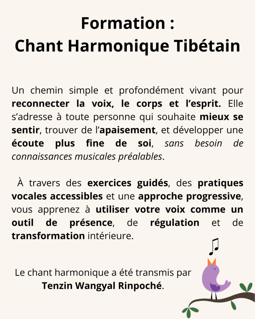 Offres : formations, consultations et ateliers, mission de vie 1