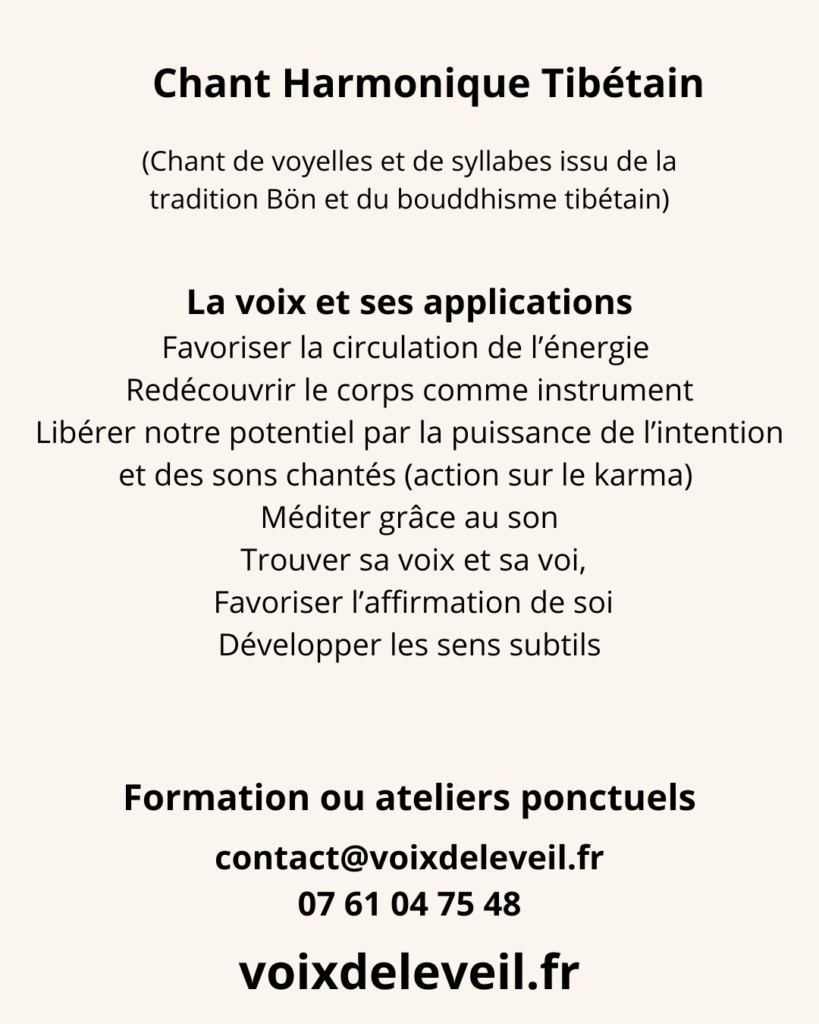 Offres : formations, consultations et ateliers, mission de vie 11
