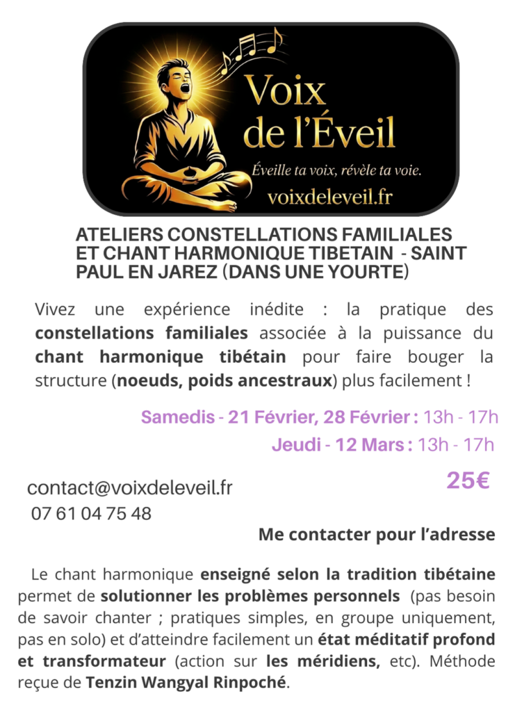 Offres : formations, consultations et ateliers, mission de vie 1